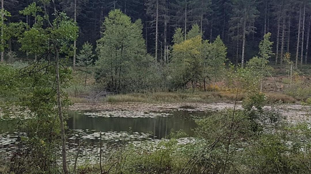 Gite La Censiere Chatel-de-Joux ภายนอก รูปภาพ